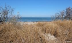 Featured image of post Grandview Nature Preserve