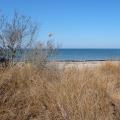 Grandview Nature Preserve