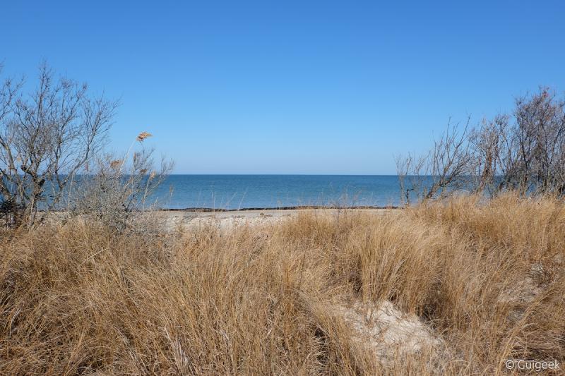 Featured image of post Grandview Nature Preserve